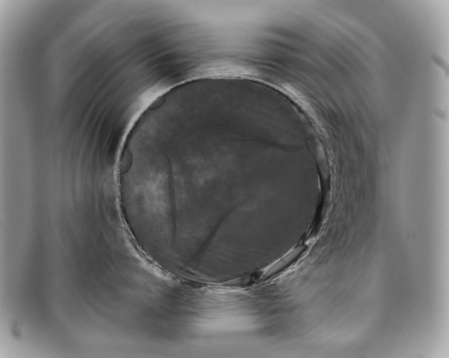 X0000098020864200804111256