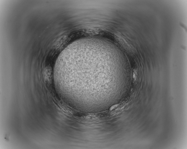 X0000098020867200804111255