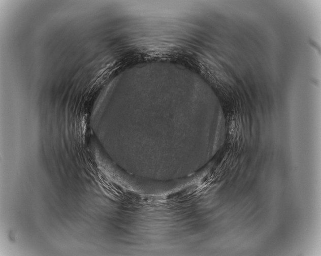 X0000098020868200804111255