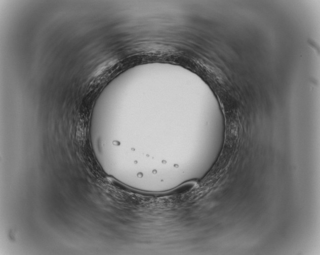 X0000098020869200804111255