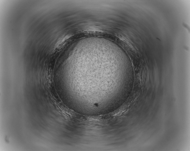 X0000098020870200804111255