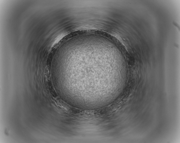 X0000098020871200804111255