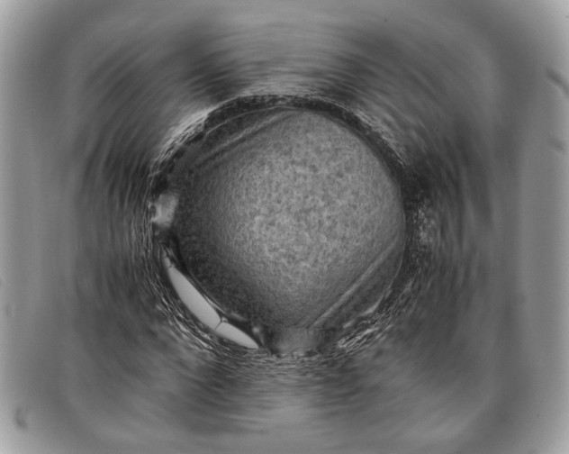 X0000098020872200804111255