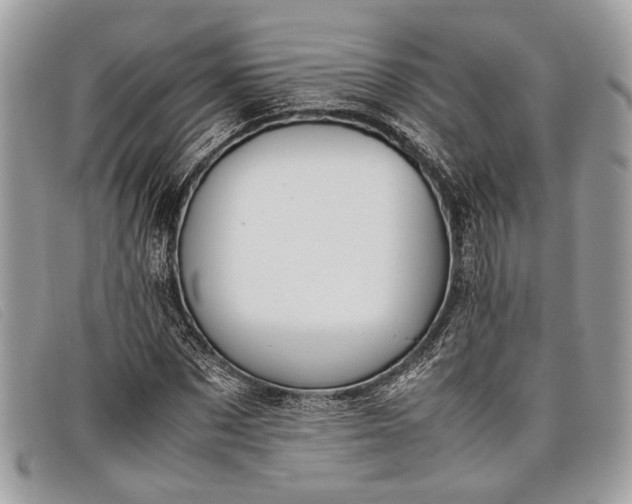 X0000098020873200804111255