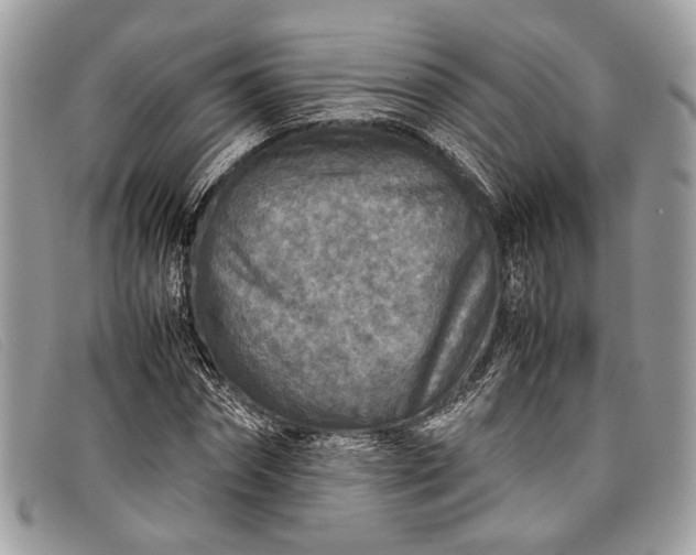 X0000098020874200804111255