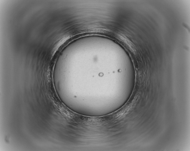 X0000098020875200804111255