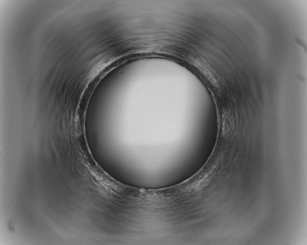 X0000098020876200804111255