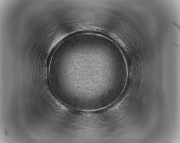 X0000098020877200804111255