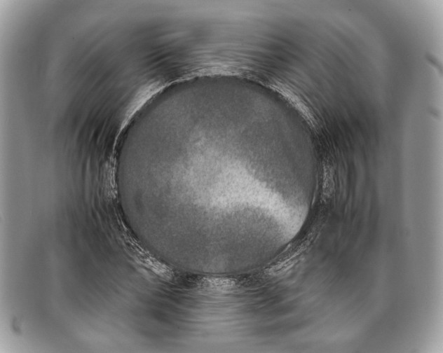 X0000098020878200804111255