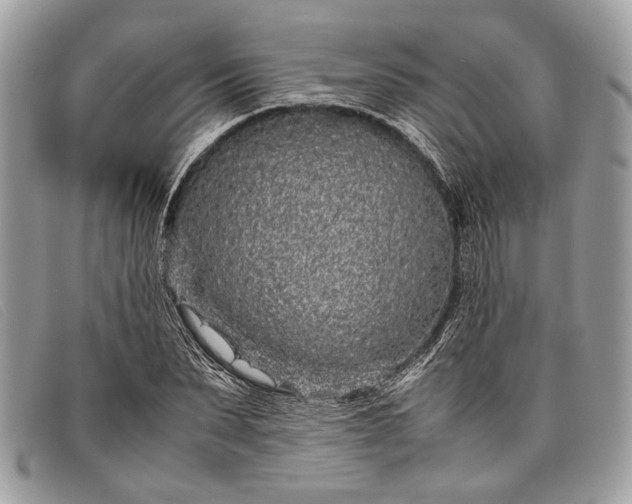 X0000098020879200804111255