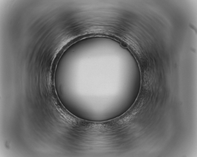 X0000098020880200804111255