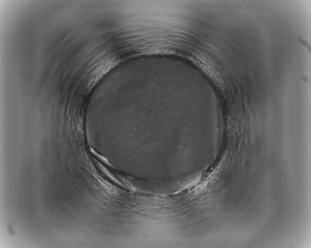 X0000098020881200804111255