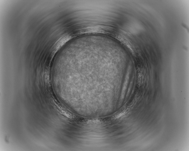 X0000098020882200804111255