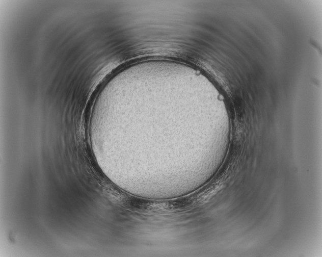 X0000098020883200804111255