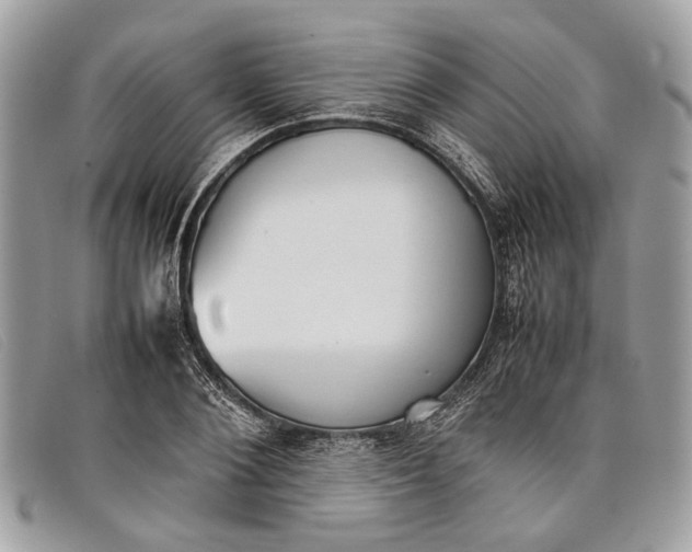 X0000098020884200804111255