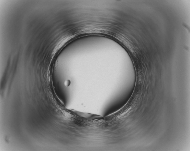 X0000098020885200804111255