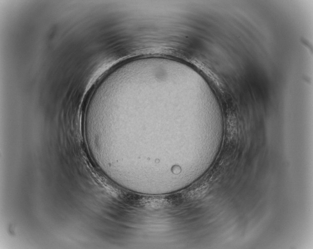 X0000098020886200804111255