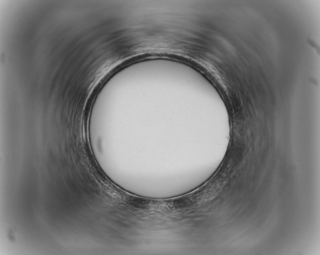 X0000098020887200804111255