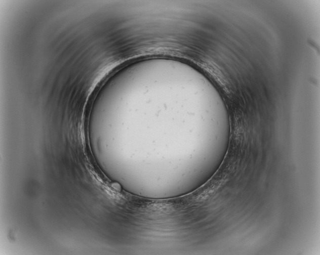 X0000098020888200804111255