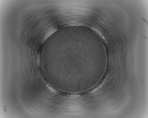 X0000098020889200804111255