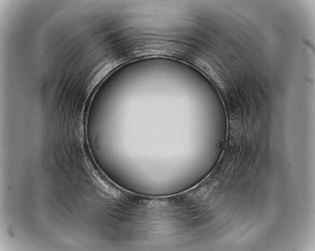 X0000098020890200804111255