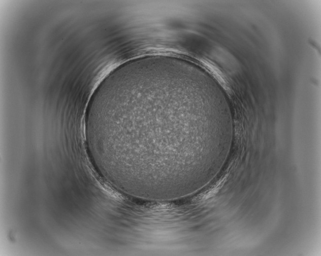 X0000098020891200804111255