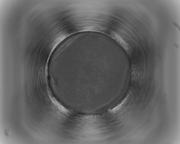 X0000098020892200804111255