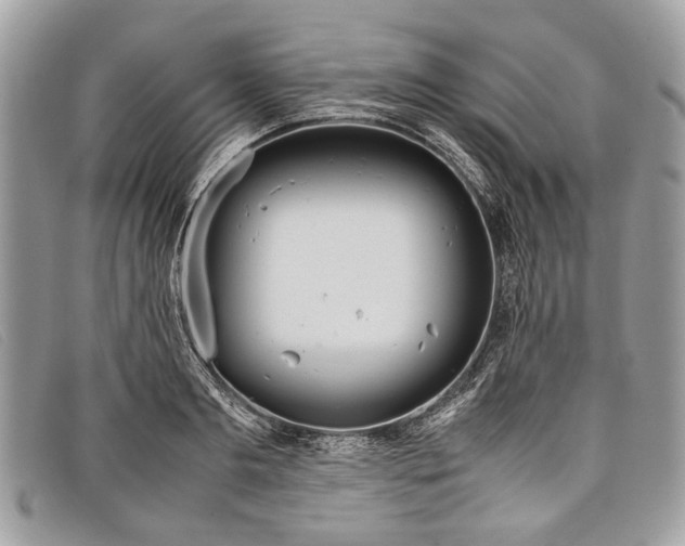 X0000098020893200804111255