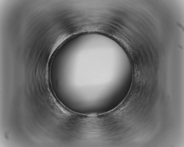 X0000098020894200804111255