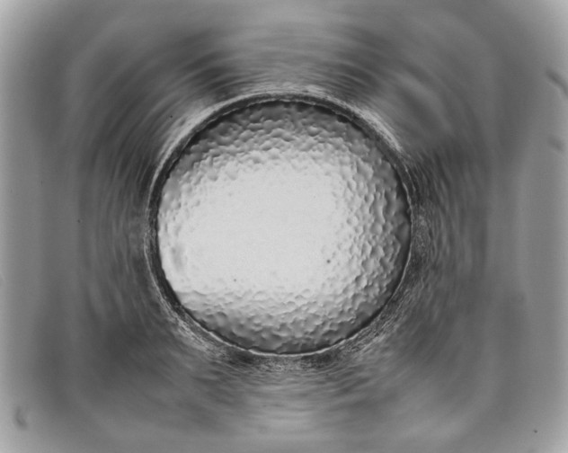 X0000098020895200804111255