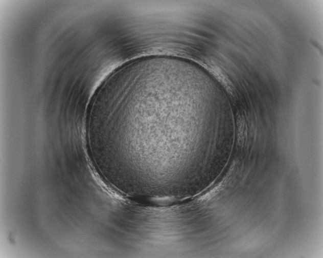 X0000098020896200804111255