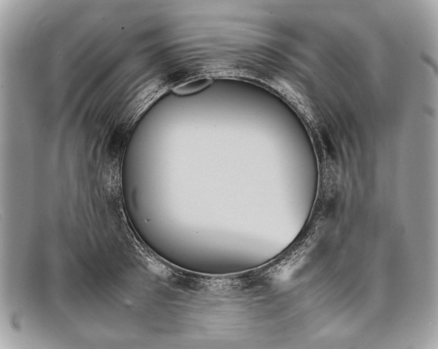 X0000098020897200804111255