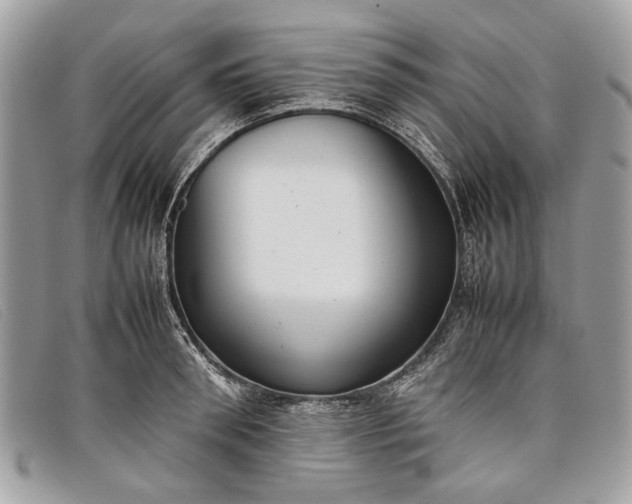 X0000098020898200804111255