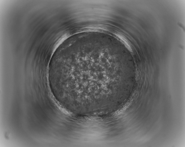 X0000098020899200804111255