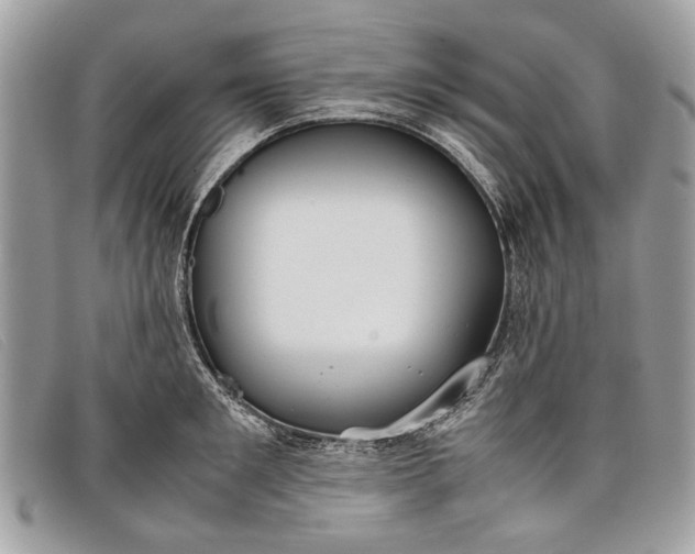 X0000098020901200804111255