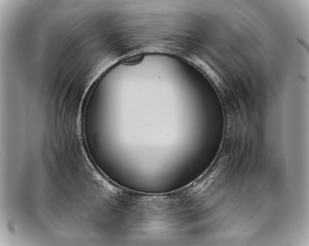 X0000098020902200804111255