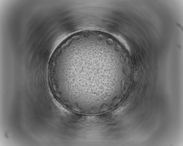 X0000098020903200804111255