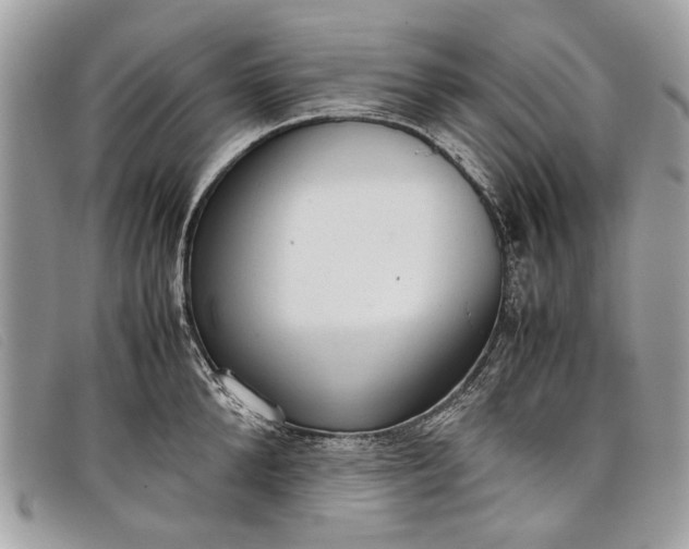 X0000098020904200804111255