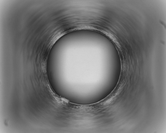 X0000098020905200804111255