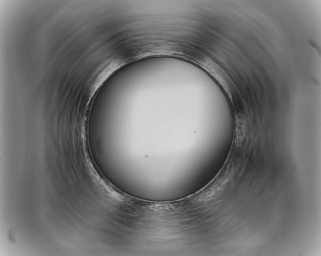 X0000098020906200804111255