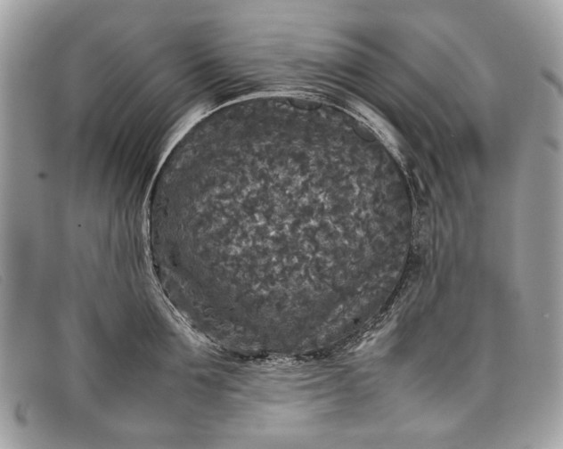 X0000098020907200804111255