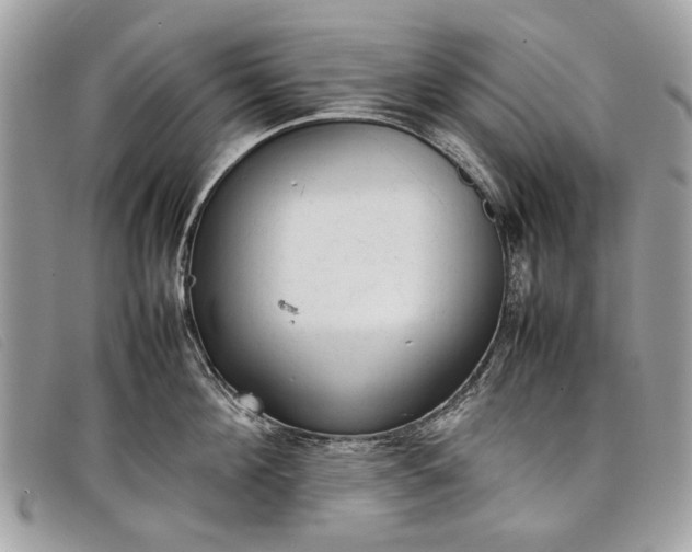 X0000098020908200804111255