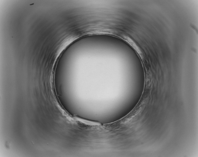 X0000098020909200804111255