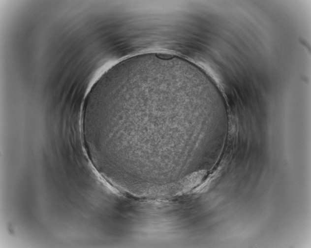 X0000098020910200804111255