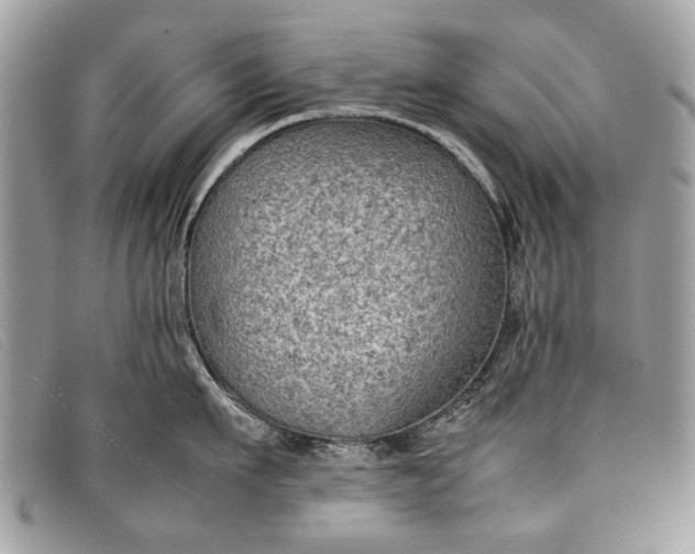 X0000098020911200804111255