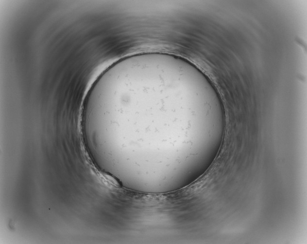 X0000098020912200804111255