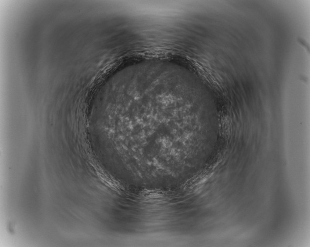 X0000098020913200804111254