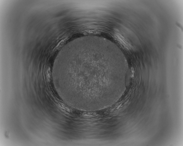 X0000098020915200804111254