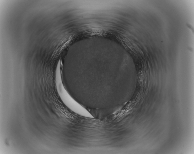 X0000098020916200804111254