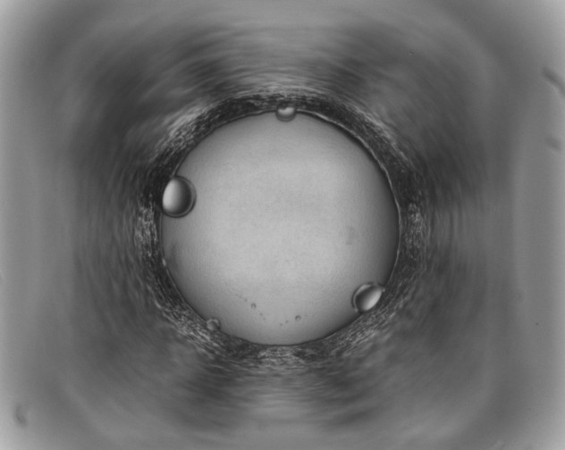 X0000098020918200804111254